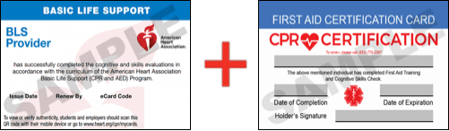 Sample American Heart Association AHA BLS CPR Card Certificaiton and First Aid Certification Card from CPR Certification Indianapolis